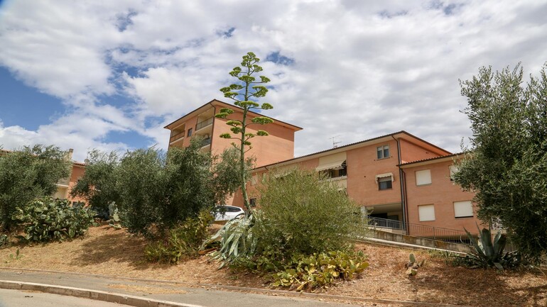 Foto immobile Roselle, Via Uni - Immobiliare BROKER 552 Grosseto