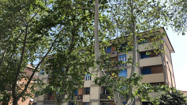 Foto immobile Via Vittorio Fossombroni - Immobiliare BROKER 552 Grosseto