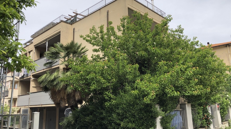 Foto immobile Braccagni, via Elena Lucrezia Cornaro - Immobiliare BROKER 552 Grosseto