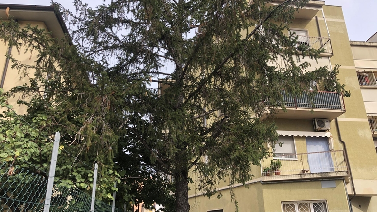 Foto immobile Via Attilio Regolo  - Immobiliare BROKER 552 Grosseto