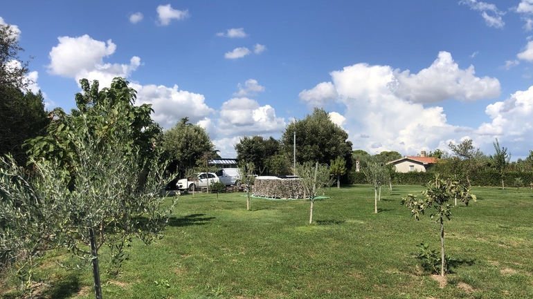 Foto immobile appezzamento di terreno uso orto di 1500 mq - Immobiliare BROKER 552 Grosseto