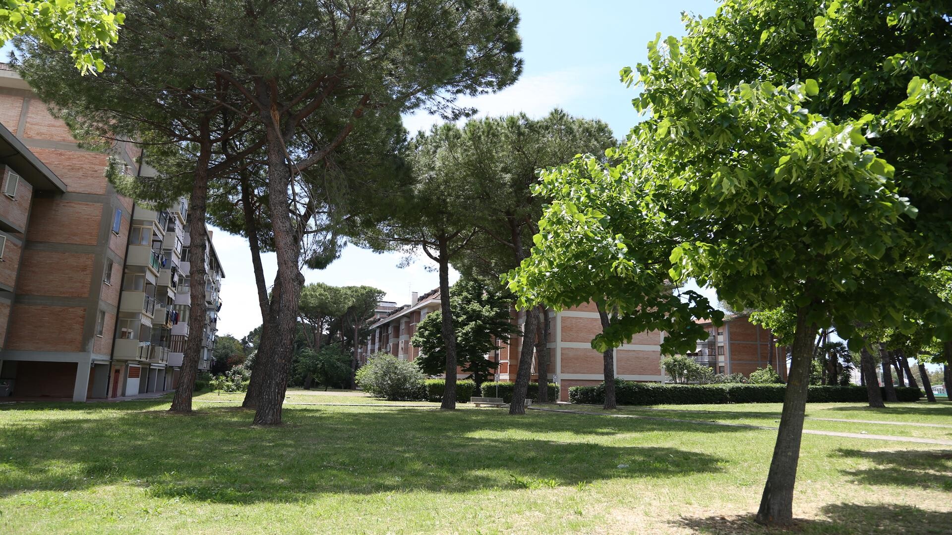 image with artdirection