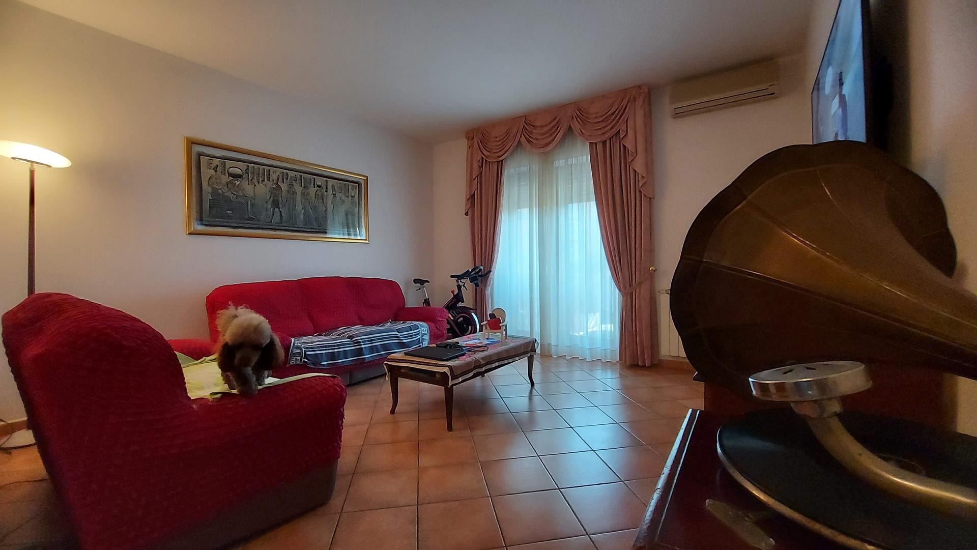 Foto interni - Immobile Via Ciro Menotti 38