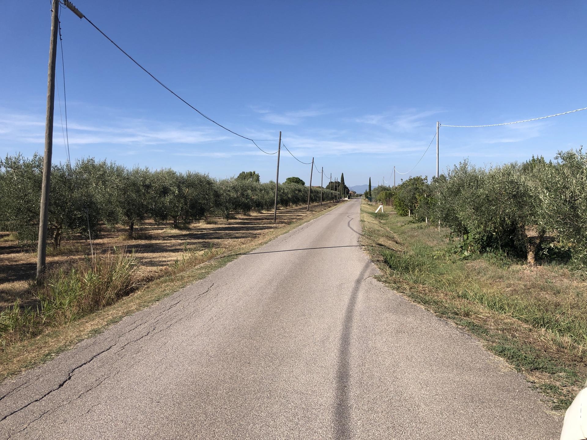 image with artdirection