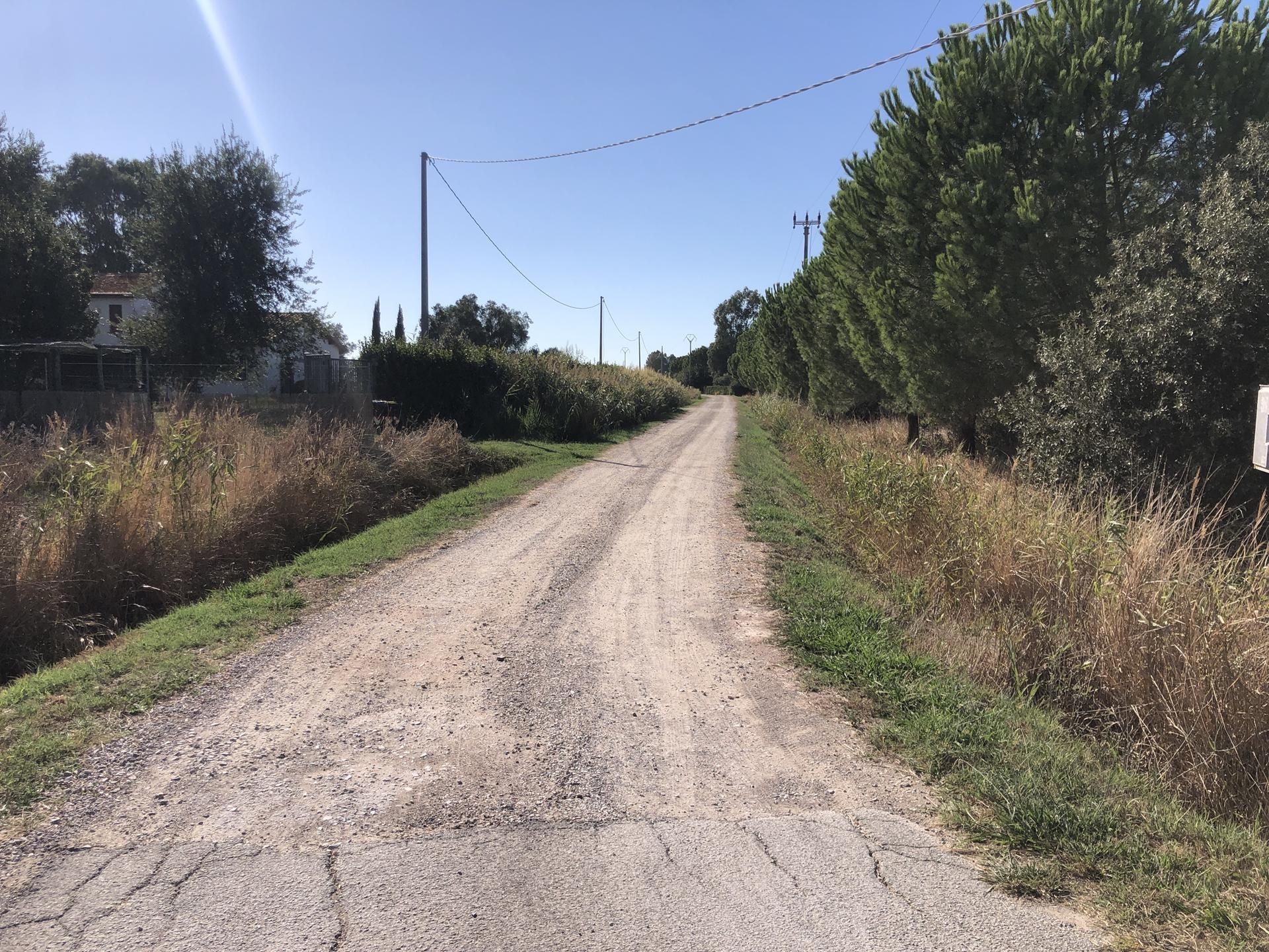 image with artdirection