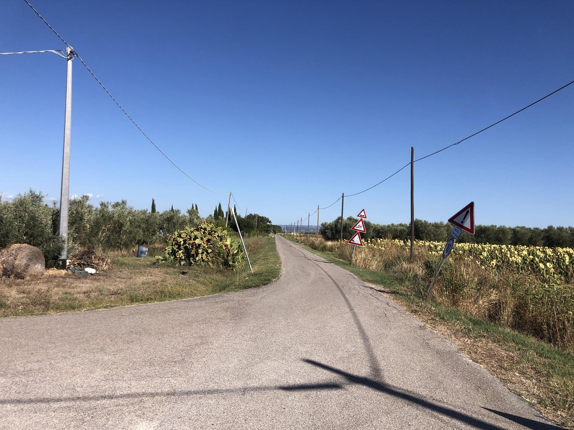 image with artdirection